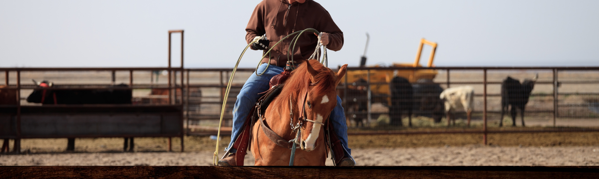 roping on a horse 