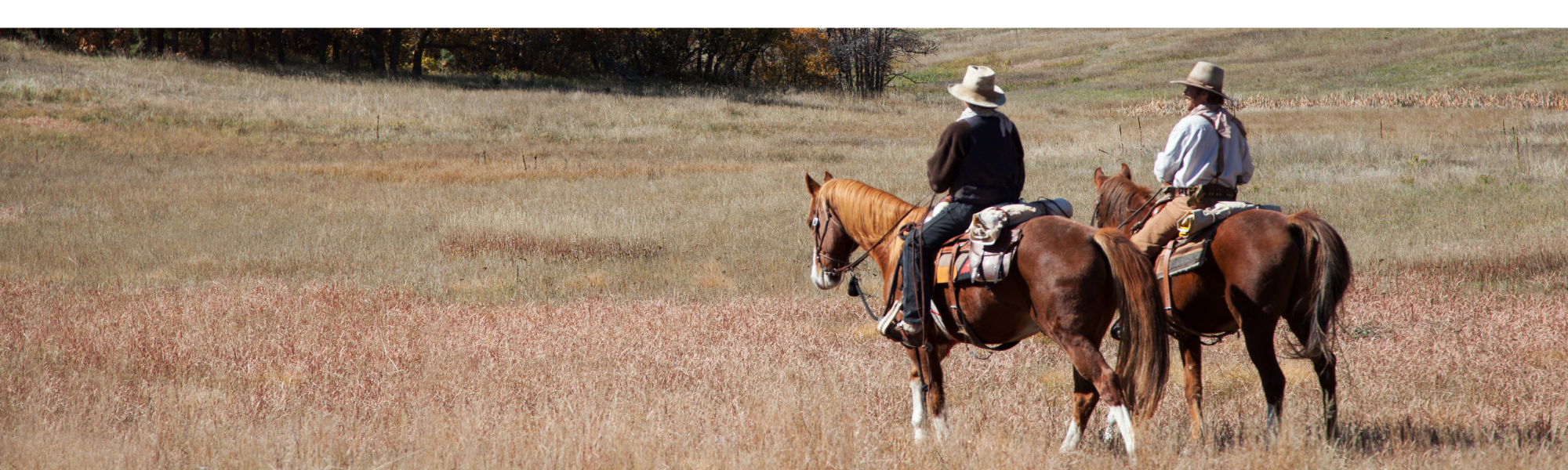 two men riding horses in a pasture 