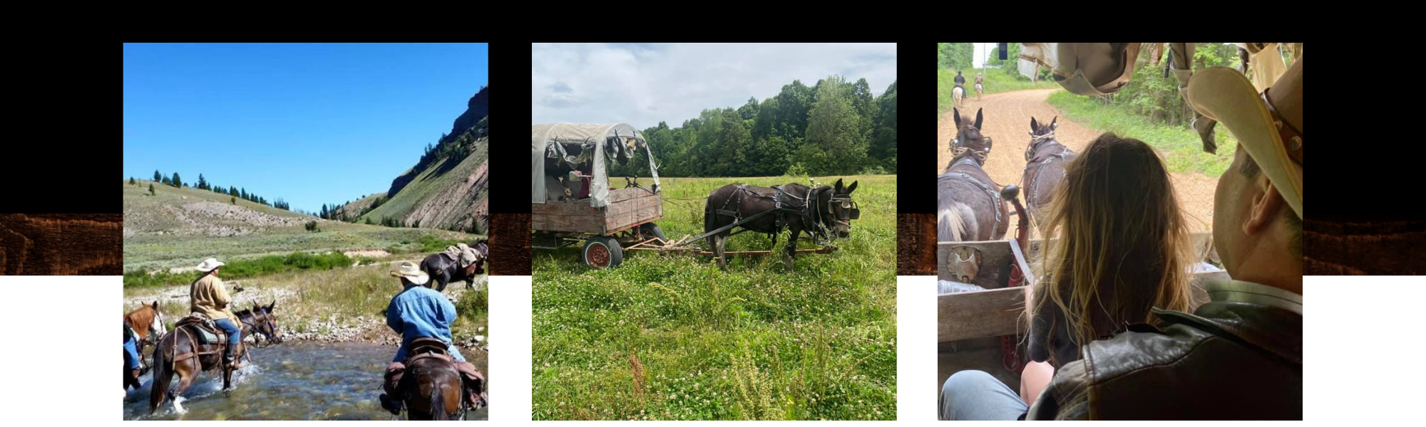 horse trail trips collage 