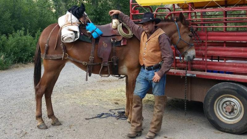 Max Bishop with Mule